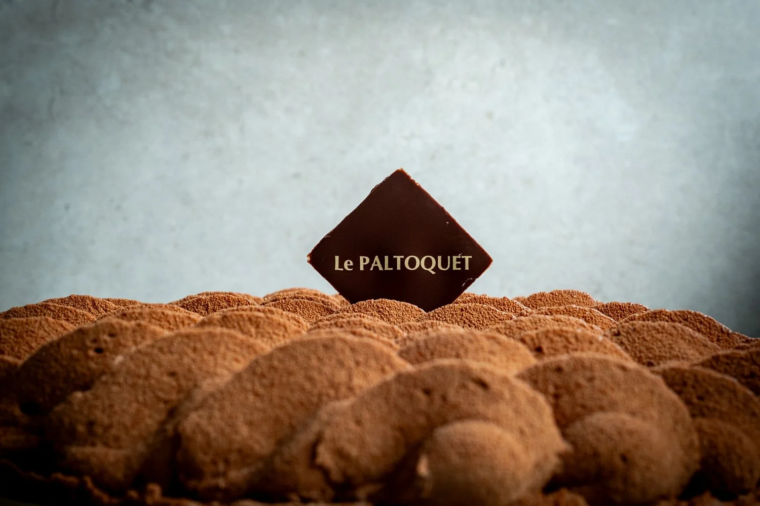 Le paltoquet — photo 1