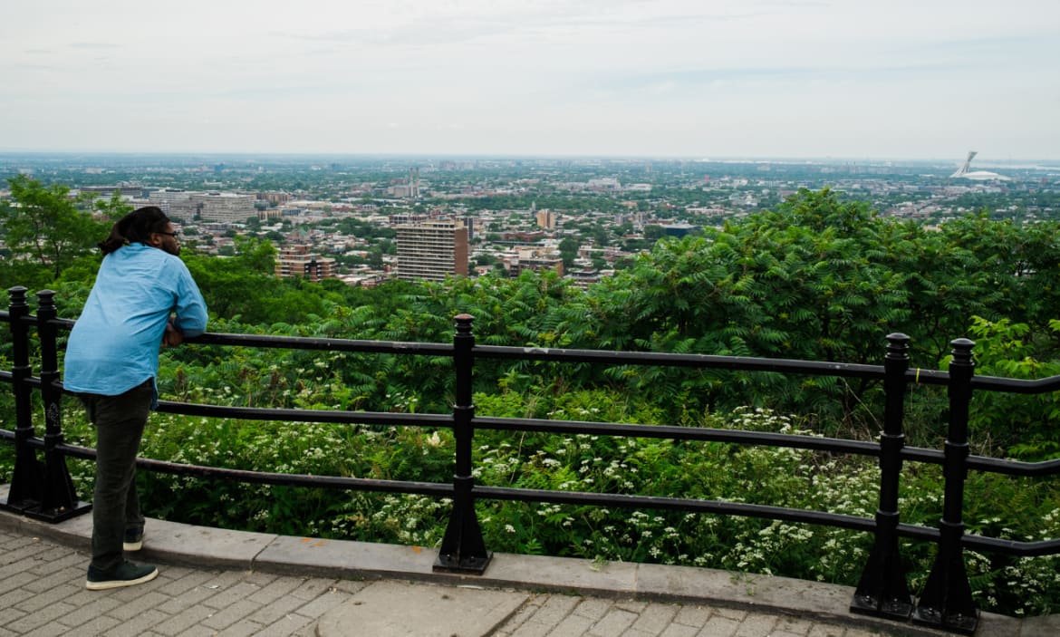 Belvédère Camillien-Houde — photo 3