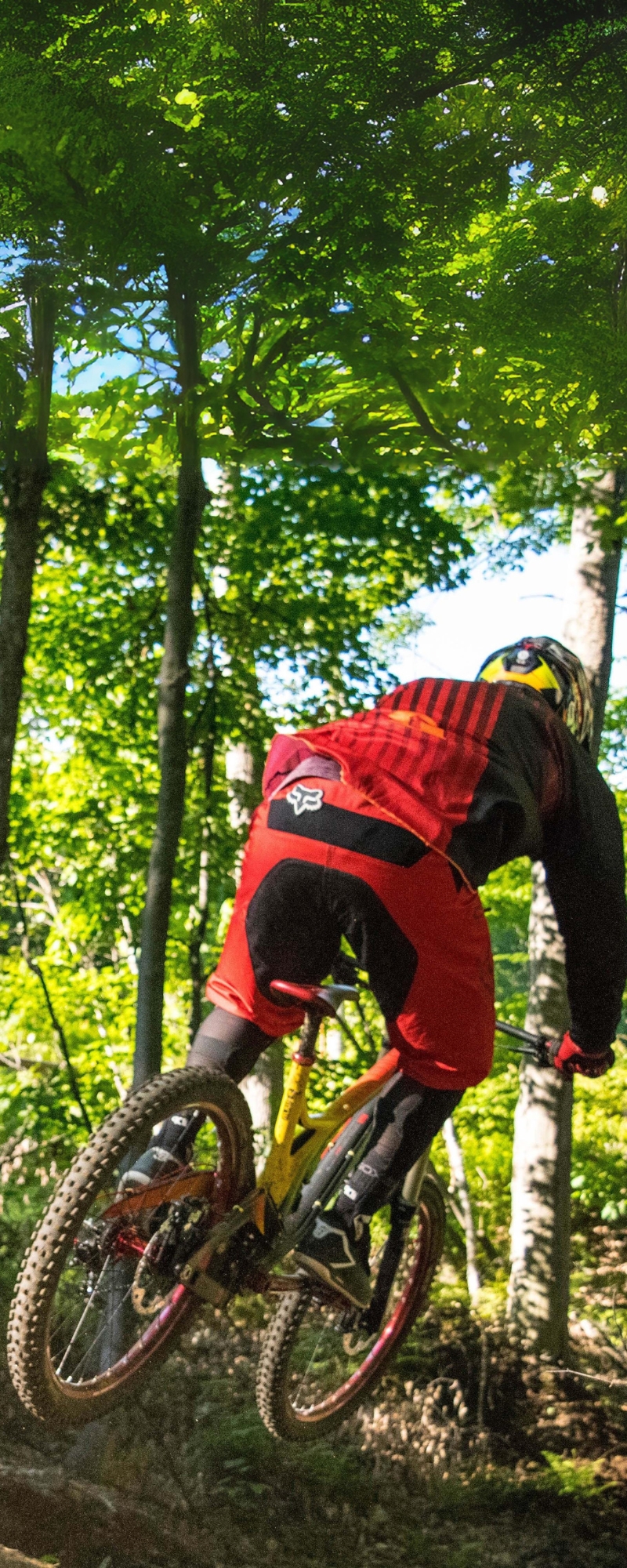 Bike Park Sommet Saint-Sauveur — photo 1