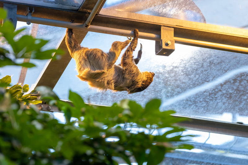 Biodôme de Montréal — photo 1