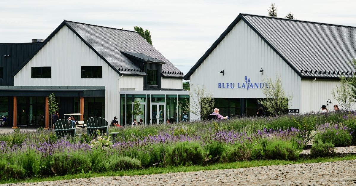 Bleu Lavande — photo 2