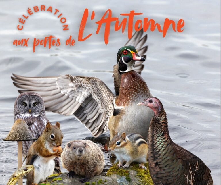 Centre d'interprétation de la nature du lac Boivin — photo 3