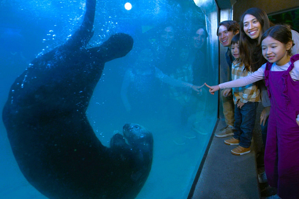Observer la faune au Vancouver Aquarium — photo 1