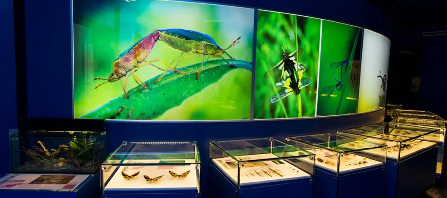 Insectarium de Montréal — photo 2