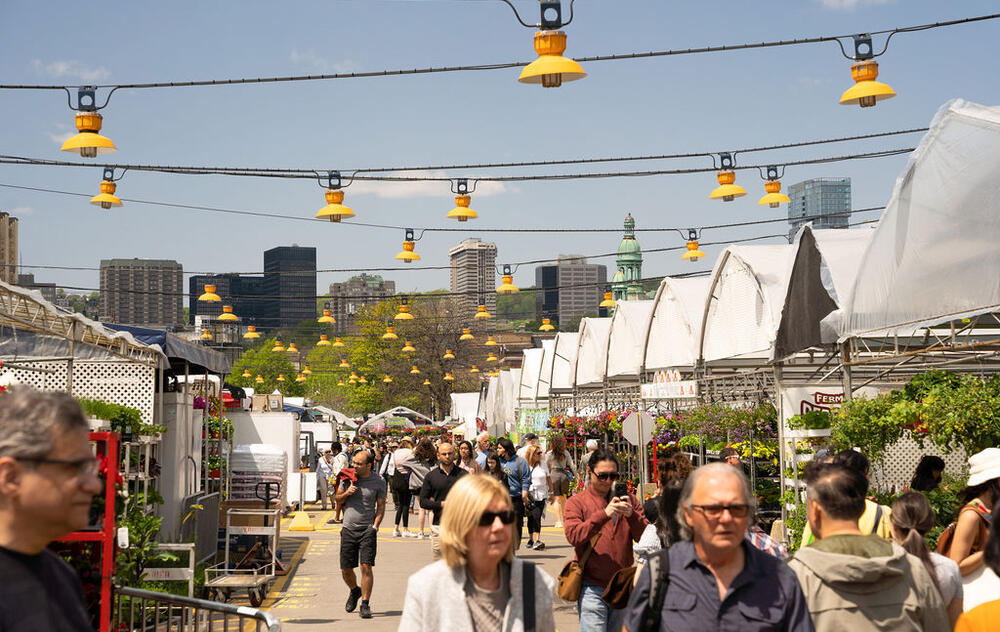 Marché Atwater — photo 3