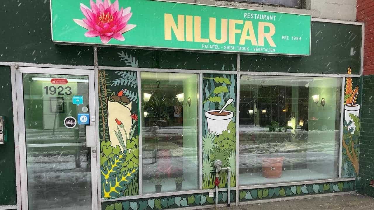 Nilufar — photo 3