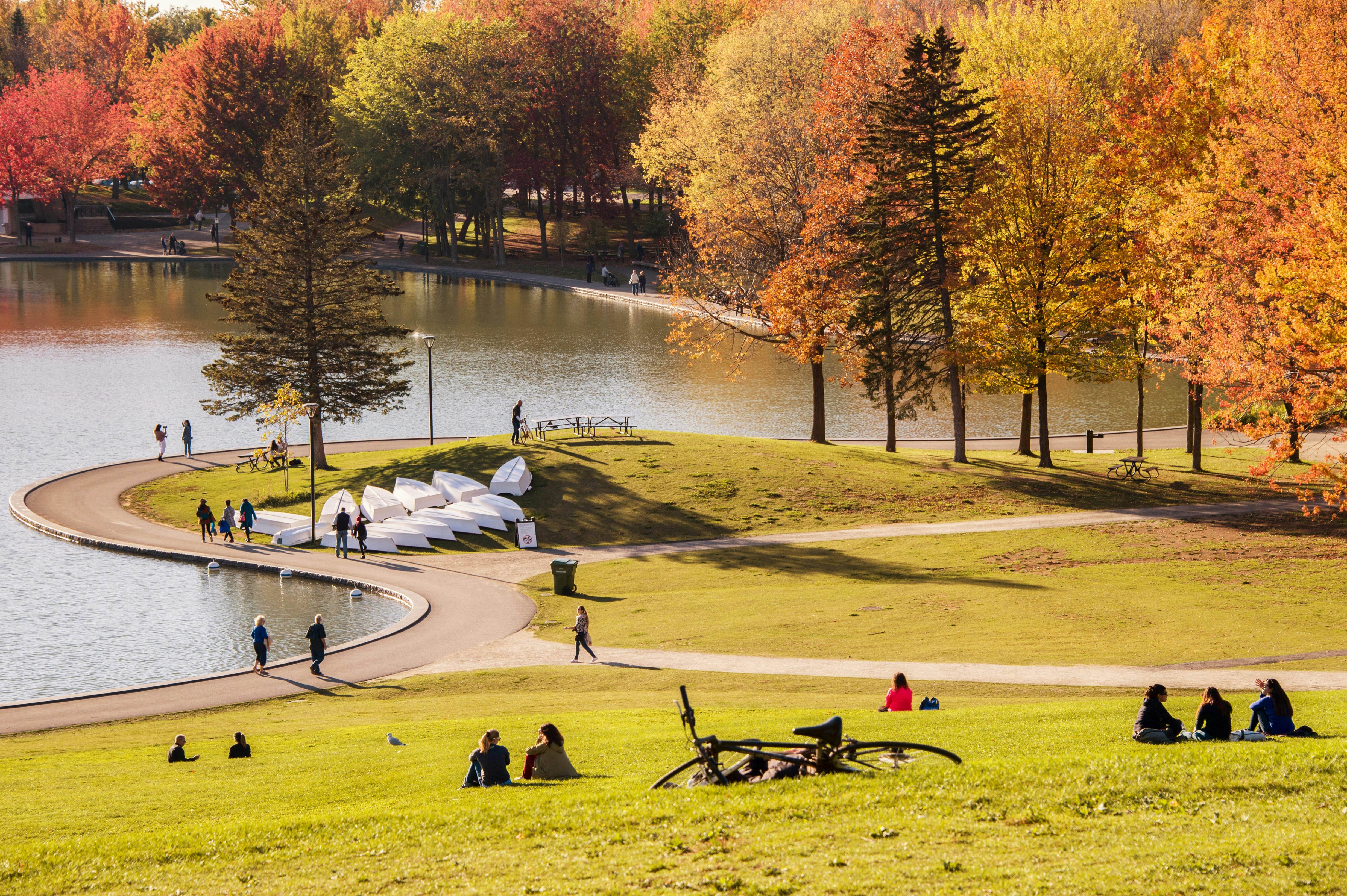 Parc du Mont-Royal — photo 1
