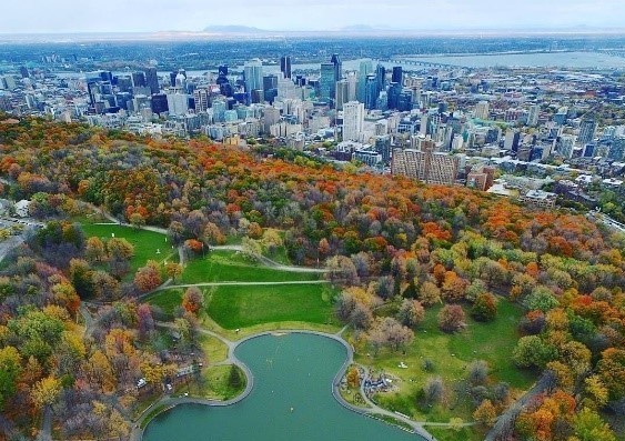 Parc du Mont-Royal — photo 3