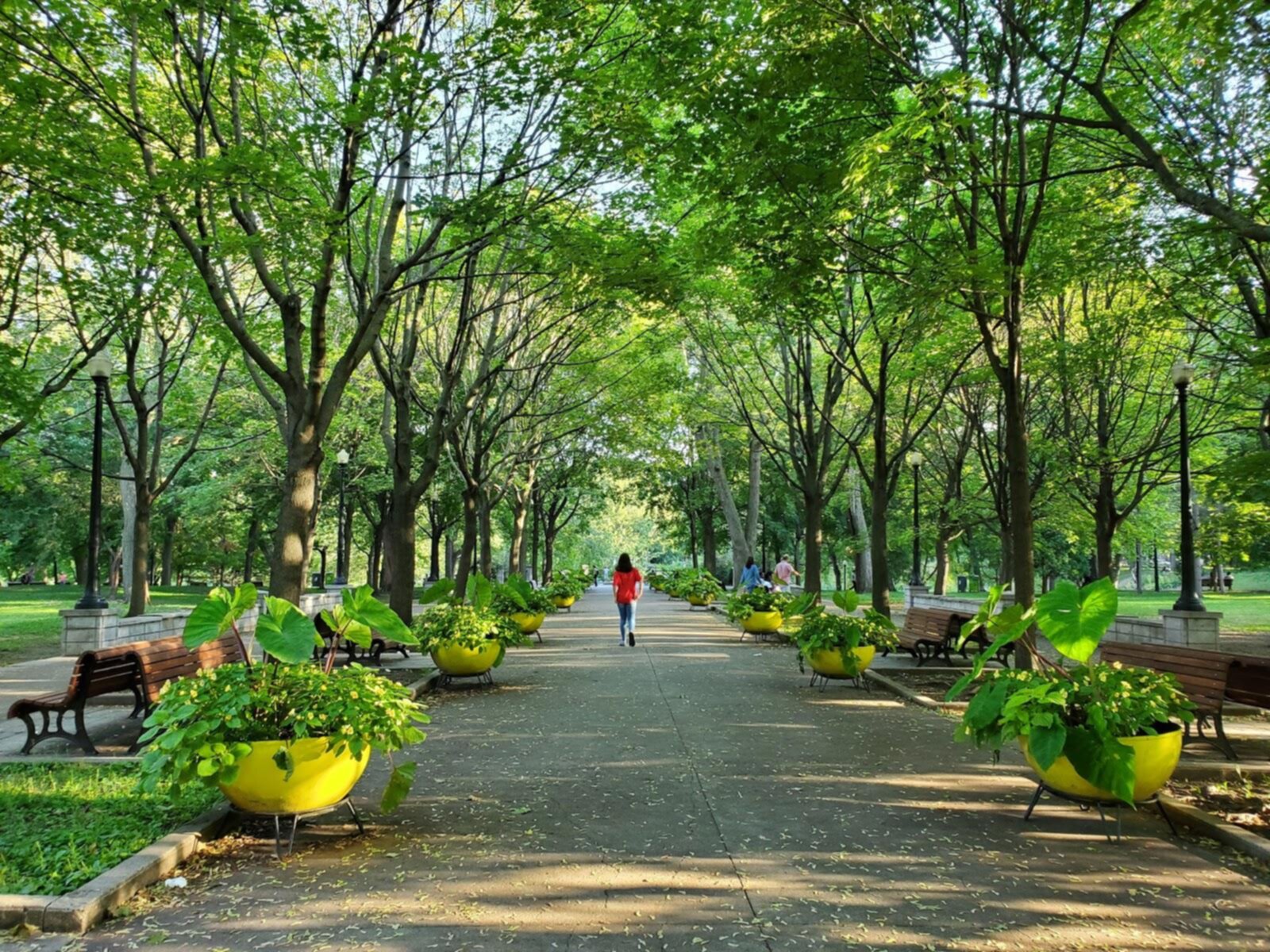 Parc La Fontaine — photo 1