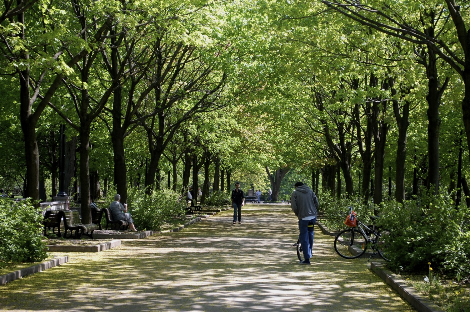 Parc La Fontaine — photo 2
