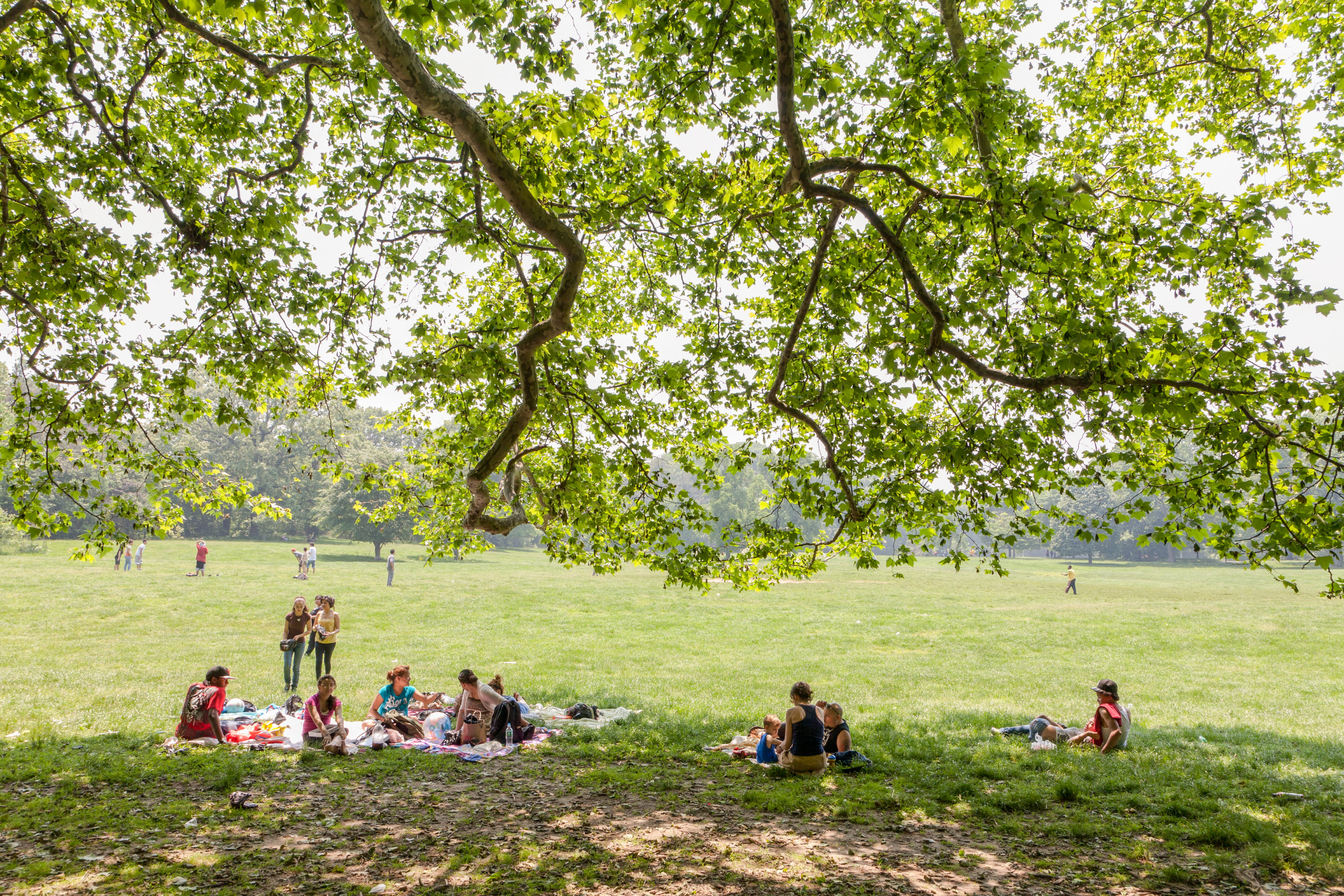 Pique-niquer sur les pelouses de Prospect Park