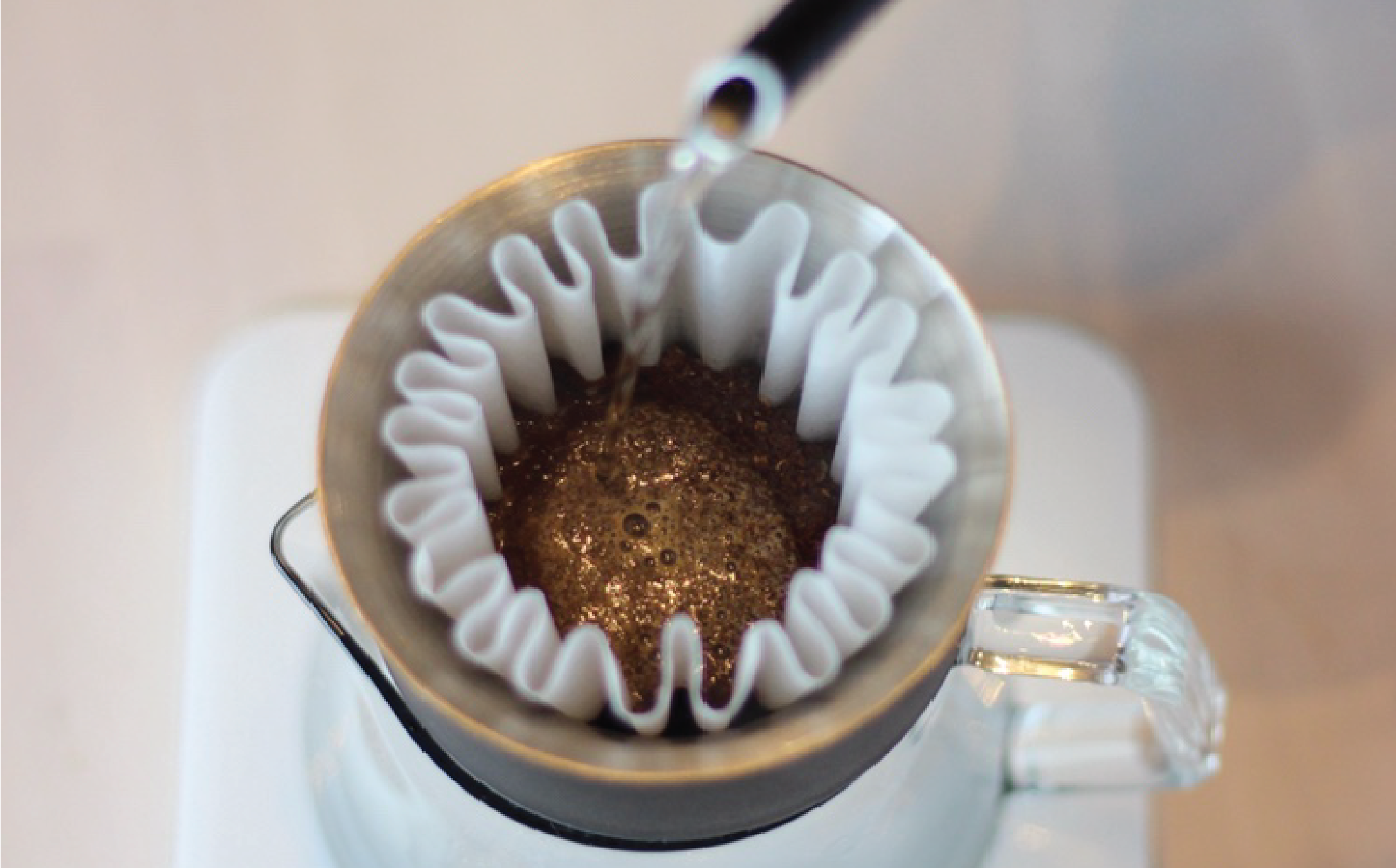 Rabbit Hole Roasters — photo 3