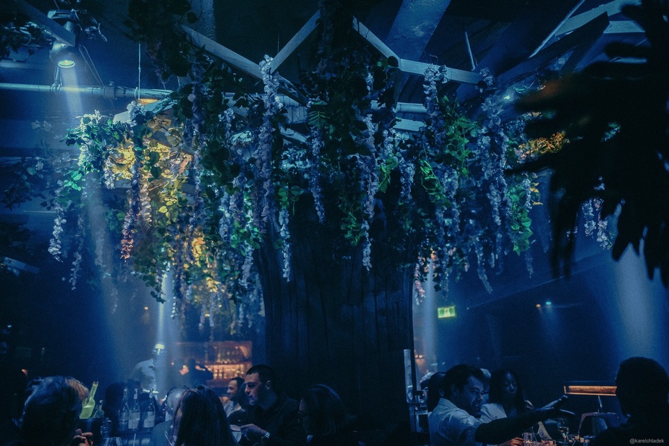 Sousbois — photo 3