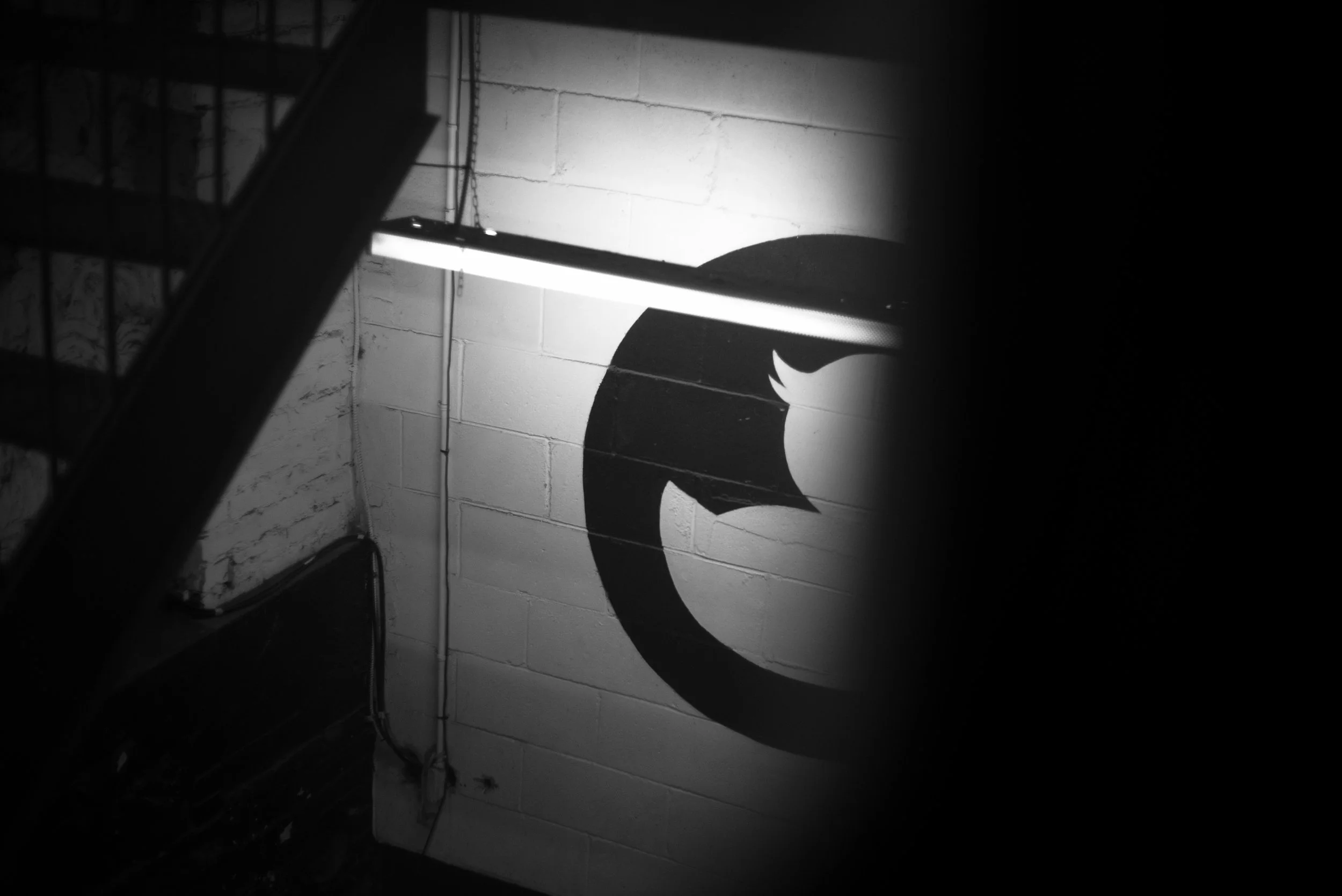 The Coldroom — photo 1