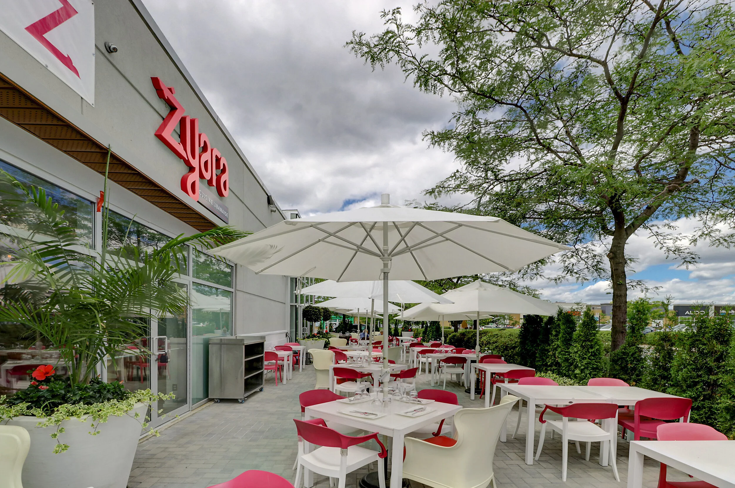 Restaurant Zyara — photo 2